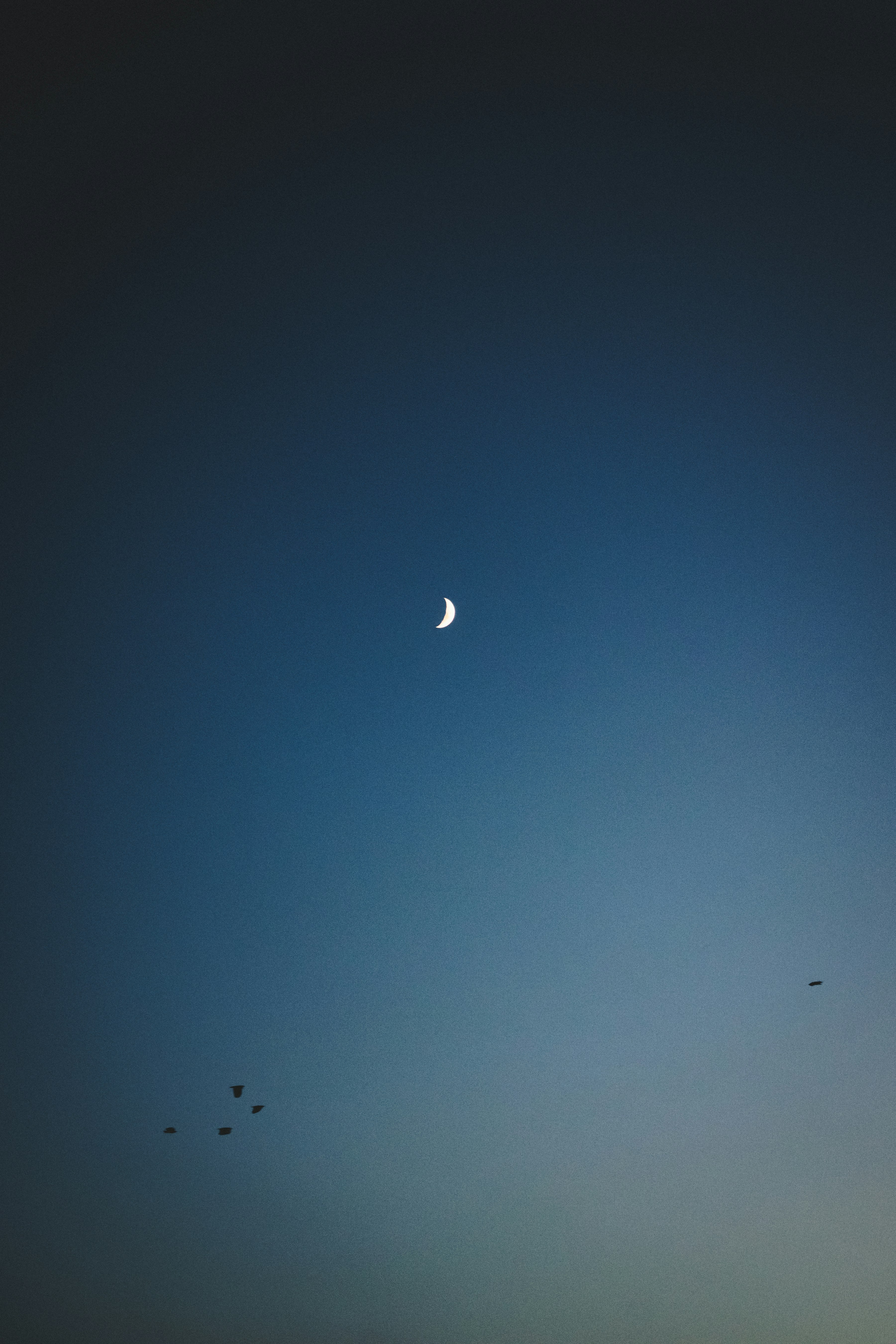 white airplane flying in the sky during night time